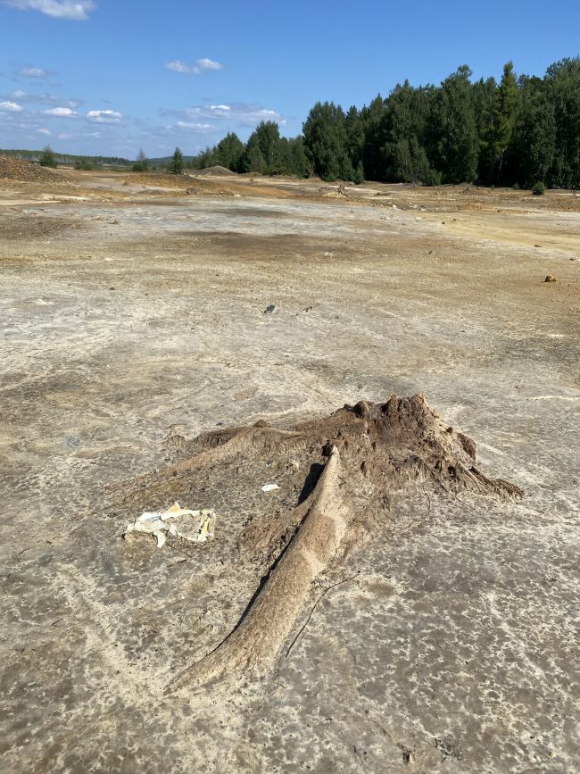 река в карабаше